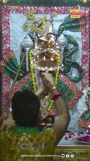 राजाधिराज द्वारकाधीश जी के श्रृंगार आरती दर्शन🙏🏻#shringararti#ShridwarikadhishmandirOfficial