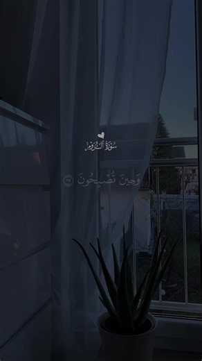 ‏سورة الروم 🤍 #قرآن #عبدالرحمن_مسعد #قران_كريم #quran