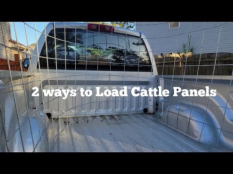 How to Load Cattle Panels in a Truck?