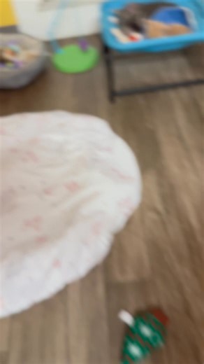 7.7K views · 875 reactions | It's All About The Animals, Inc. on Reels | Facebook