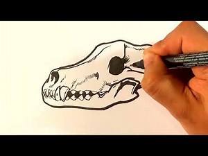 How to Draw COOL Wolf Skull Drawing - Draw Tattoo Art - Drawing Step by Step for Beginners