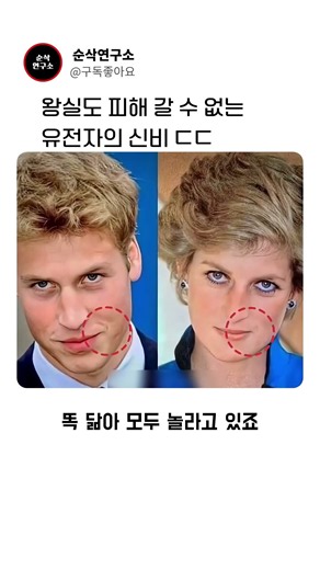 왕실도 피해 갈 수 없는 유전자의 신비 ㄷㄷ #영국왕실 #다이애나 #다이애나비