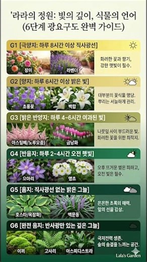 [라라노트45] 실패 없는 정원 설계! 햇빛 6단계 완벽 정리
