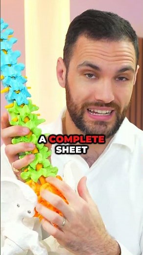 What Is Lumbarisation Of The S1 Vertebra?