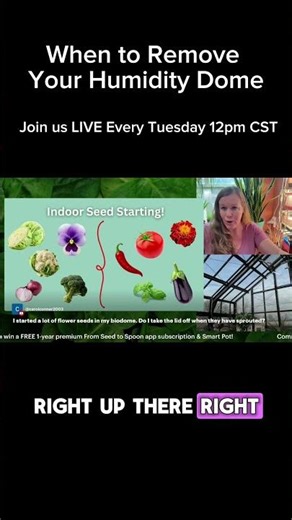 Workshop Clip: When to Remove the Humidity Dome After Seeds Sprout Indoors