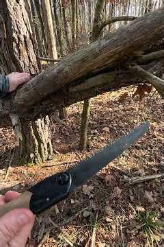 Silky pocket boy outback edition #bushcraft #tools #outdoors #work #new #best #review #top #edc