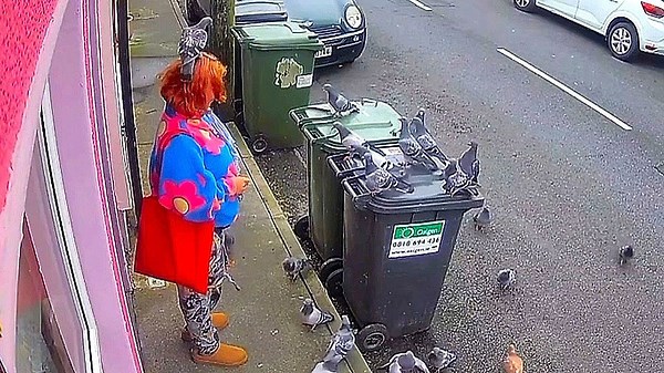 Magical attraction: Pigeons surround woman when she leaves house