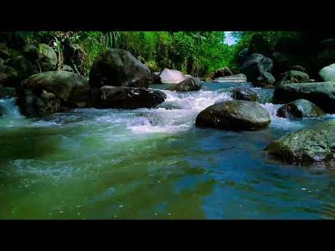 Waterfall Sounds for Sleeping River Sounds for relaxation Water Sounds for stress relief