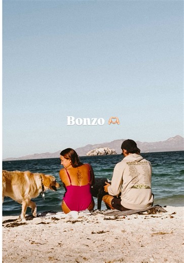 TW: Pet loss. Talking about our sweet Bonzo, grief, and losing a loved one while living on the road #petloss #grief #lifeontheroad #dogs #doglover