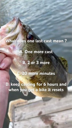 #helpmemakethismakesense #memes #fishing #dothingsyoudontwanttodo #sittingonthedockofthebay #facts