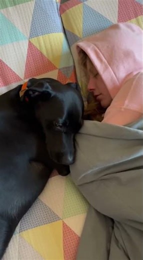 Why are they so loud?! - 🐶 Barking secrets you never knew #dogs #pets #funny