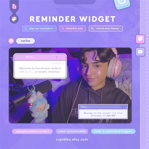 Reminder Widget — Stream Alert & Chat Commands, Timer ⟡ Fully Customizable | Twitch, Youtube Streamers | Pastel | Streamelements OBS - Etsy Australia