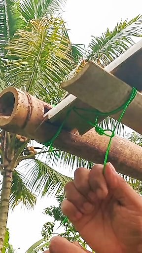 Kalo dengan cara di paku tidak bakalan kuat kalo model bambuya bambu belahan🤣 #tutorial #pasanggapet #bambu #video #reelsfyp | Zukirtukangyu