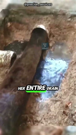 Plumbers Discover a Massive Tree Root Blocking an Entire Drain 😱