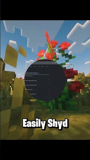 The end of our aternos server 😢