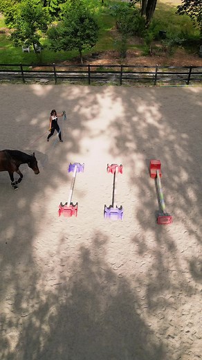 Developing Horse's Core with Raised Ground Poles | Equine Bodywork Online