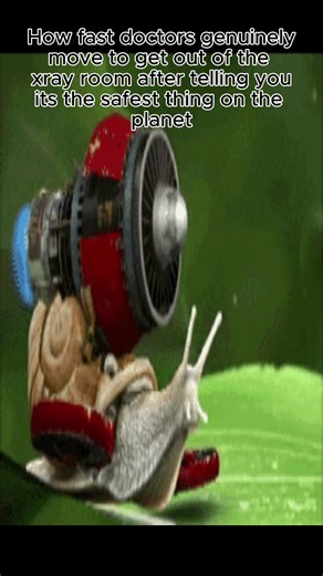 The Fast Snail: An Insight into Turbo Snail Culture