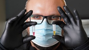 Pen-side test for bovine respiratory disease may save cattle industry millions, reduce antibiotic use