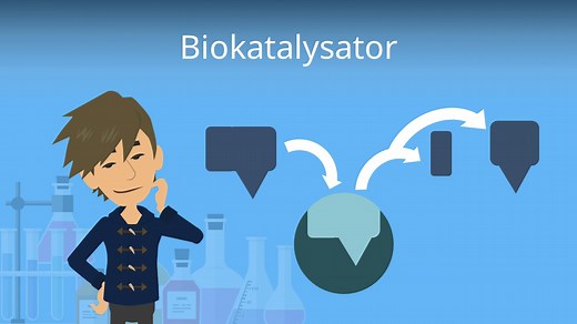 Biokatalysator — Aufbau und Funktion
