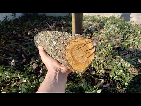 Impossible Craftsmanship | Making a Beautiful and Creative Wooden Spiral Lamp DIY | Woodworking