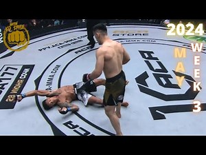 MMA & Boxing Knockouts I May 2024 Week 3