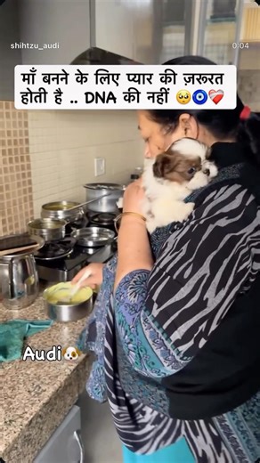 माँ का प्यार ❤️ ऑडी🐶🐾 #entertainment #love #pets #shihtzu #trending #viral #shorts