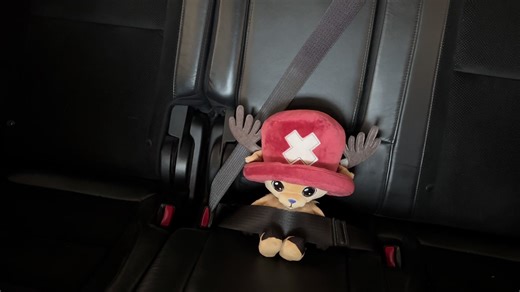 Chopper in the Car: One Piece Fan Parody