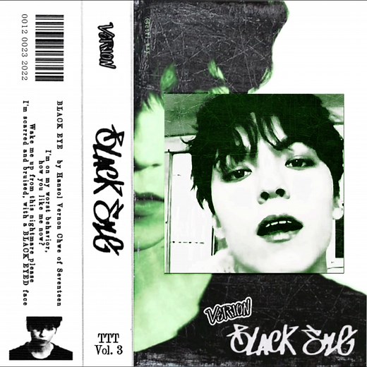 Vernon's BLACK EYE: A Punk Rock Journey