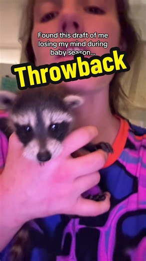 Back when I was drowning in raccoons… (And I don’t even take them! There was just no one else that could, EVERYONE was full)