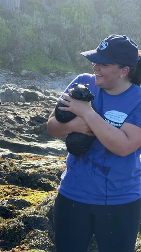protectors of the pools 🤠 #seahare #fieldwork