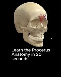 Did you know that most injector anxiety isn't about skill, it's about anatomical visualization? While everyone else focuses on trendy techniques, elite injectors have discovered a revolutionary 3D approach to facial anatomy that eliminates guesswork forever. Join Dr. Tim Pearce on October 16th 8pm EST for a FREE training revealing how to: ➡️ Master depth and precision with unmatched confidence ➡️ Calculate safe injection zones for ANY facial variation ➡️ Gain more detailed knowledge than expensi
