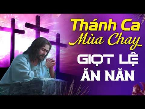 Thánh Ca Mùa Chay 2026 - Ăn Chay – Cầu Nguyện – Bác Ái | Thánh Ca Hồng Ân Hay Nhất Hiện Nay