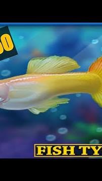 Fish Tycoon 2 - How to get Golden Guppy of Isola ! EASY WAY !!!