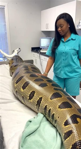 I took her to the hospital for checkup