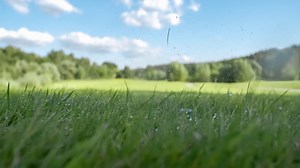 Golf club hits a golf ball in a super slow motion. Drops of morning dew and grass particles rise into the air after the impact. | Premium Stock Video Footage