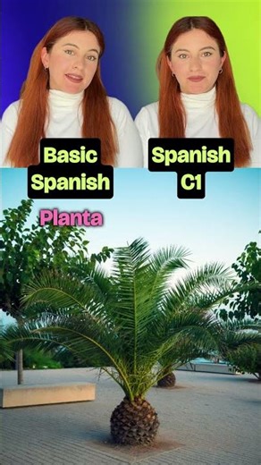 Spanish A2 vs C2: “Plant” in Spanish 🌿✨