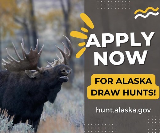1.2K views · 21 reactions |  The Alaska draw hunt lottery...