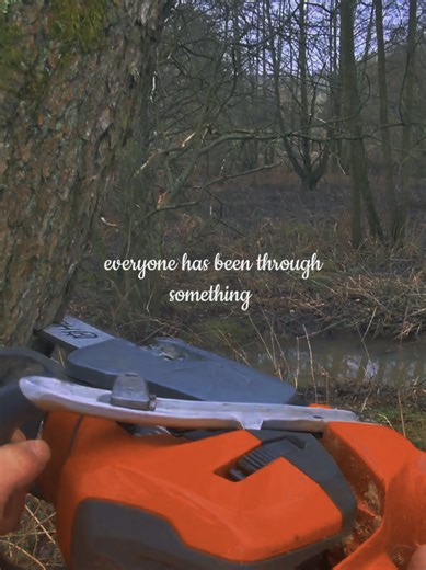 Sleep well love! Il see you again 🫂#gardening #arborist #husqvarna #respect #friend