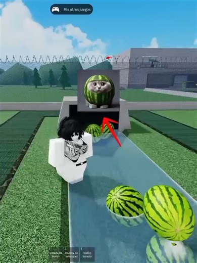 Igna Funny on Instagram: "watermelon roblox r63 #r63 #robloxmemes #roblox #robloxgirl #роблокс #67 #watermelon #кавун"