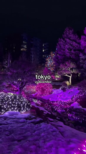 Japan in December: A Winter Wonderland Experience