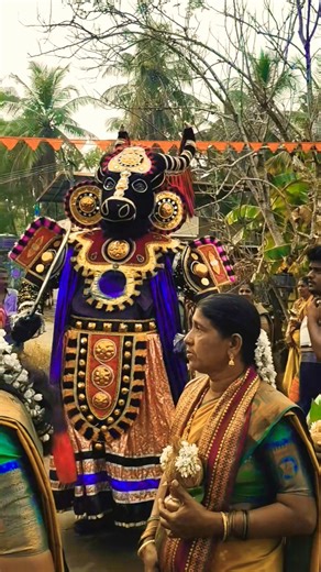 Beauty Of Tulunadu Udupi Karnataka #dvsgallery #tulunadu #karavali #sanatandharma #dharma #shorts