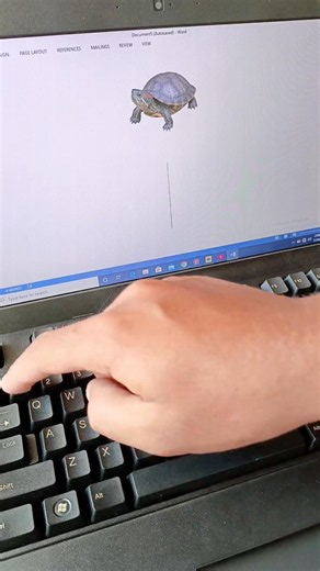 Turtle 🐢 Logo in Ms Word By shortcut key | In English | DSH. #shortcutkeys #usa.