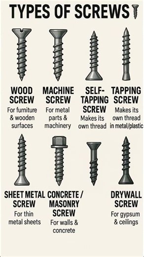Types of Screws & Their Uses (Quick Guide) #shorts