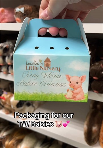 Introducing Our Adorable New Silicone Piglet
