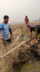 Catching Fish by Pumping Out Water with a Shallow Machine #WaterPumping #FishCatching #ShallowMachine | Village TV