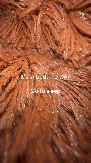 Twin Bedtime Routine for a Good Night's Sleep