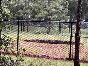 Deadly Sinkhole Reopens | World's Biggest Python | $1.4M Scam: FL News