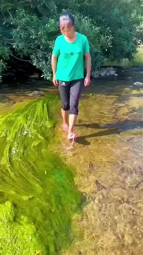 The Woman Who Caught All the Fish in the Village