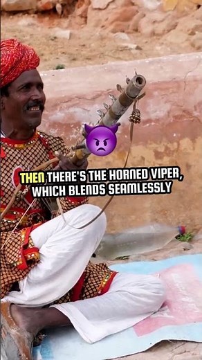 The Most Unique Snake Defenses in Nature! ⚡🐍 #SurvivalSkills