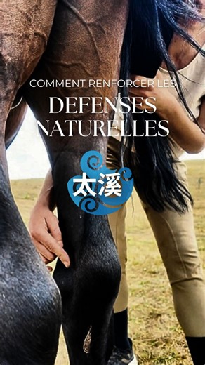 📍R3 est situé dans le creux du jarret, devant le calcanéum, à l’interne. C'est un point Terre et Yuan du méridien du Rein, un indispensable dans le soutien énergétique de ton cheval. Ce point peut être utilisé pour : 🐴 Calmer la peur 💪 Renforcer l’énergie du Rein 🛡️ Tonifier le système immunitaire Un point aux effets multiples, utile dans les déséquilibres anciens ou installés. ➡️ Abonne-toi pour découvrir chaque semaine de nouvelles techniques d’acupression. ❗Le shiatsu ne dispense pas d'un